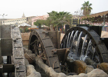 main photo of Fayoum Oasis